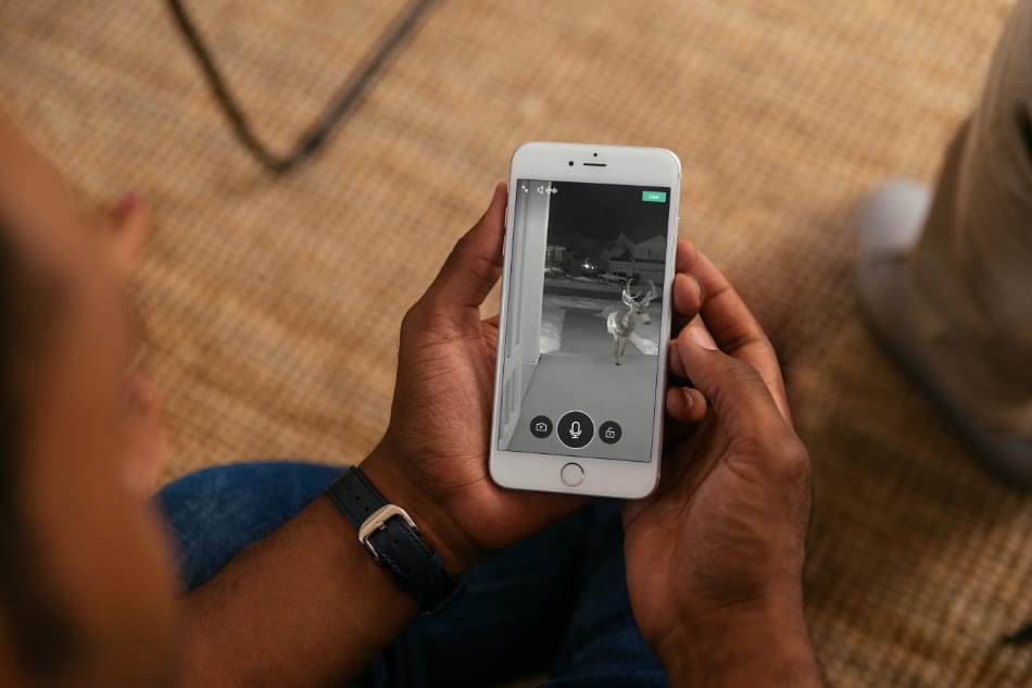 Franklin TX security system